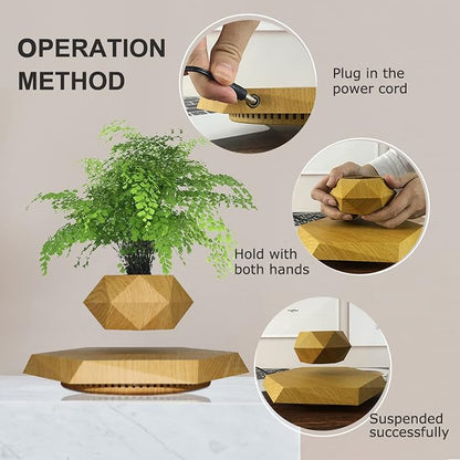 Levitating - Bonsai Planter Pot ©