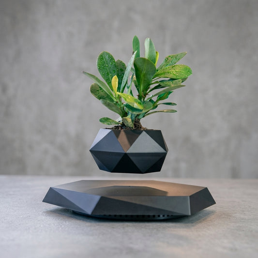 Levitating - Bonsai Planter Pot ©