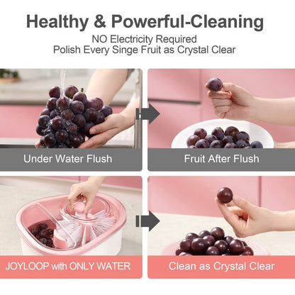 Fruit Cleaning Device Ⓢ