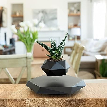 Levitating - Bonsai Planter Pot ©