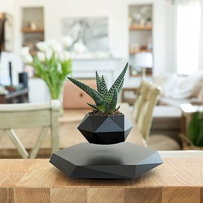 Levitating - Bonsai Planter Pot ©